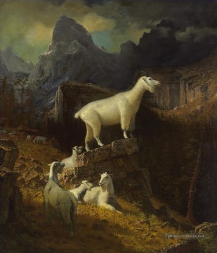 Rocky Montagne Chèvres Albert Bierstadt Peinture à l'huile